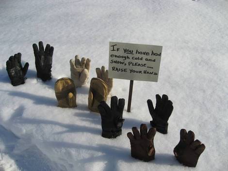 Ten gloves sticking out of the snow alongside a sign that reads 'If you have had enough cold and SNOW, PLEASE... RAISE YOUR HAND'